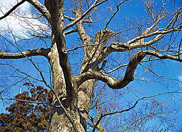 韩国虚幻5网游《时空奥德赛》封测宣传片 6月20日开启