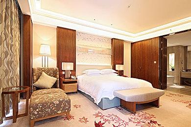 《宝可梦传说 Z-A》已开放预载 Switch2版容量7.7GB